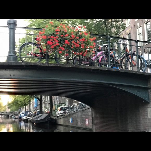 Hello and thanks for looking! I’m Alicia! - Picture 6 of 7